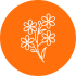 alpine-ne-moublie-pas