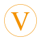 valorytis-logo-3